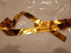 バンドリ 10th Anniversary LIVE 銀テープ⑦