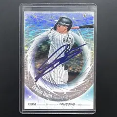 Item thumbnail for item 397191fc-1cd8-4994-a8d0-b92c1be3913e