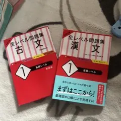 大学入試 全レベル問題集 漢文 1 基礎レベル