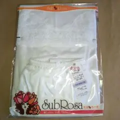 Item thumbnail for item 1a8d7c12-182d-4206-8b3c-ed001f4f1e06