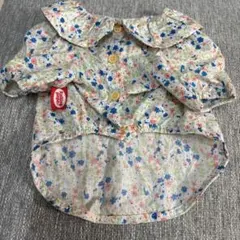 Item thumbnail for item 101249c9-aa1b-47ed-9c3e-edc892930059