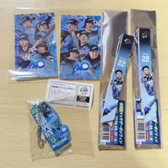埼玉西武ライオンズ アオフェスステッカー ボンフィン キーホルダーセット