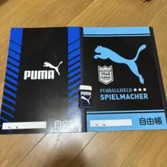 Item thumbnail for item dec4950c-816a-492a-96c4-930a43900035