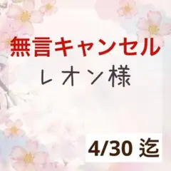 ♡レオン様 専用♡