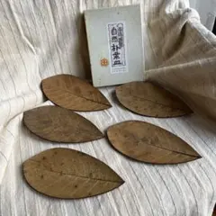 Item thumbnail for item 4a8fd00b-c63e-4a8a-b773-bb27654f3c8d