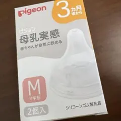 Item thumbnail for item 9036525a-b498-4307-8836-219750183904