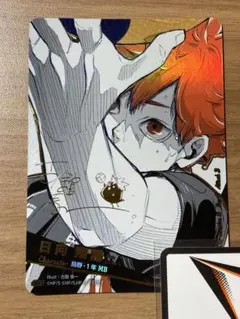 2025年最新】日向翔陽 極の人気アイテム - メルカリ