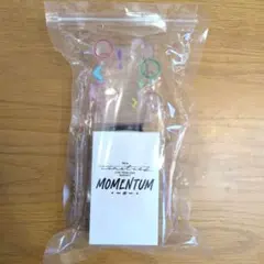 timelesz MOMENTUMペンライト2本セット（銀テープ1本付き） - メルカリ