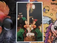 新品♪東京ディズニーシー ミッキー ミニー 実写 ポストカード 35周年