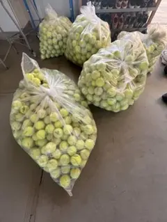 テニスボール 硬式