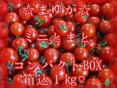 ふーちゃん様専用♡まゆか２㎏♡