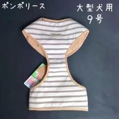 Item thumbnail for item 672f74de-26fa-4bd8-b3a8-aec3f42c96ff