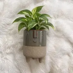 値下げしました！！陶器 小物入れ 北欧　花瓶　可愛い インテリア