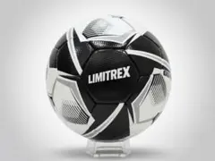 Item thumbnail for item 7bf68923-d98d-49e2-bce9-2d0d5b86ba0d