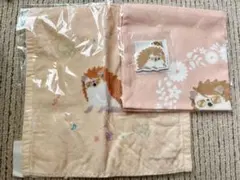 エリオス ハリネズミ ビリーワイズ 3点セット