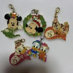 東京ディズニーリゾート 35周年 チャーム ドナルド チップ＆デール