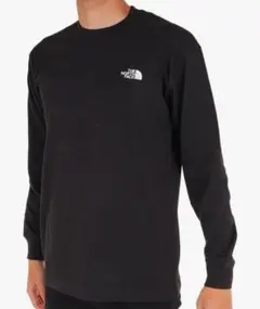 the north face ザノースフェイス Tシャツ　カットソー　長袖
