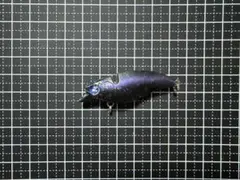 Item thumbnail for item eb1dd186-0bec-4c91-a429-e4dc31dc7231