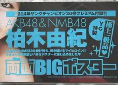 ★AKB48柏木由紀　2014ヤングチャンピオン付録水着ポスターのサムネイル