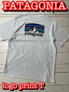 PATAGONIA Tシャツ フィッツロイ・ホライゾンズ・レスポンシビリティー