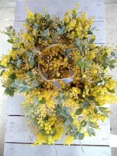 2026年最新】ミモザ枝の人気アイテム - メルカリ