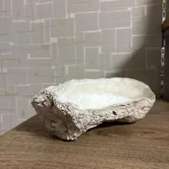 珪化木 スライス 鉱物標本 希少 - メルカリ