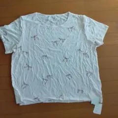 Item thumbnail for item 7456cdb7-1db2-4324-8d6f-6251e8e06ab9