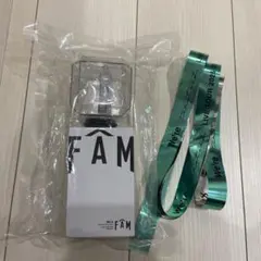 【銀テ付き】timelesz FAM ペンライト