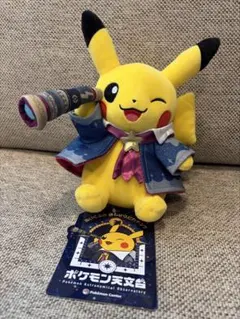 ポケモン天文台 ほしぞらピカチュウぬいぐるみ