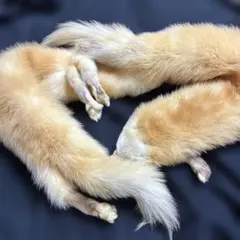 淡*雪様 ファーマフラー 茶、2頭顔付き1体、和洋、普段着、着物、洋服、美品