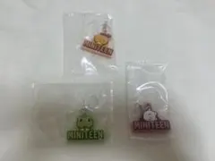 miniteen めじるし　3点セット　ウジ　スングァン　the 8 ハオ