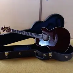 2026年最新】TAKAMINE TSA500の人気アイテム - メルカリ