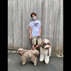 2026年最新】キムタク ディッキーズの人気アイテム - メルカリ