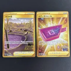 トレーナーズグッズ ルアーモジュール 大口の沼UR Pokémon GOのサムネイル