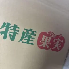 ぺこら様専用　　箱込み2L10kg