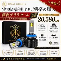 ロイヤルガード オメガ H8 H11 H16 LEDフォグ 実測20580LM - メルカリ