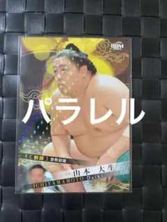 Nagi-ta9様 リクエスト 2点 まとめ商品