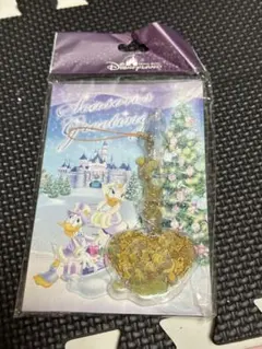 香港ディズニーランド ドナルド デイジー キーホルダー
