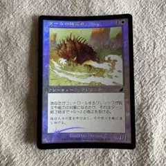MTG ダールの降霊者 日本語版 1枚