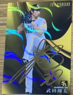 プロ野球チップス 武田翔太 サイン プロ野球カード