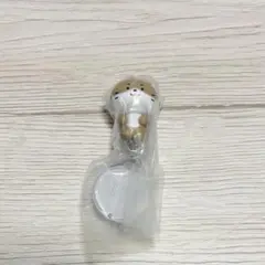 MINITEEN つまんでつなげてますこっと チャンダリ