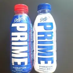Dodger's PRIME 500ml容器のみ