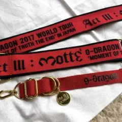 G-DRAGON ポップアップ 韓国 フェイスポーチキーリング A BOY'S - メルカリ