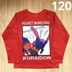 ポケモン ロンT Koraidon 120