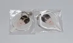 SEVENTEEN SVT カプセブ ディノ うちわキーホルダー