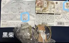 【うちの子のけだまだま】犬　#C-plaペテモ限定 限定アソート　黒柴　おまけ付