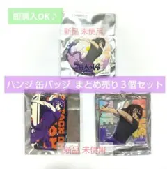 最終 新品 進撃の巨人 秋葉原 ハンジ 缶バッジ アクキー ３個セット 未使用