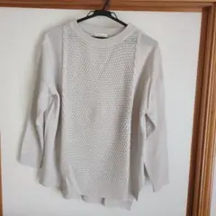 earth music&ecology ライトグレー長袖ニット　春物　フリー