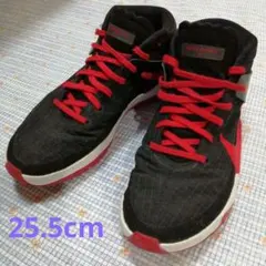 NIKE ナイキ kd13 EP 25.5cm