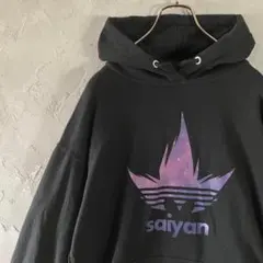 ヴィンテージ　パーカー　プルオーバー　ビッグプリント　センタープリント　IW5